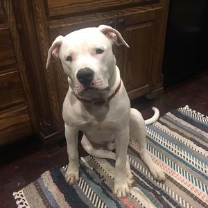 Meet your Posher, Chasity